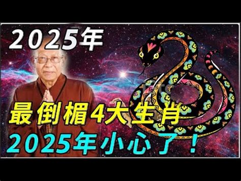 2025五行|【2025 是什麼年】直擊2025！生肖運勢、干支紀年全。